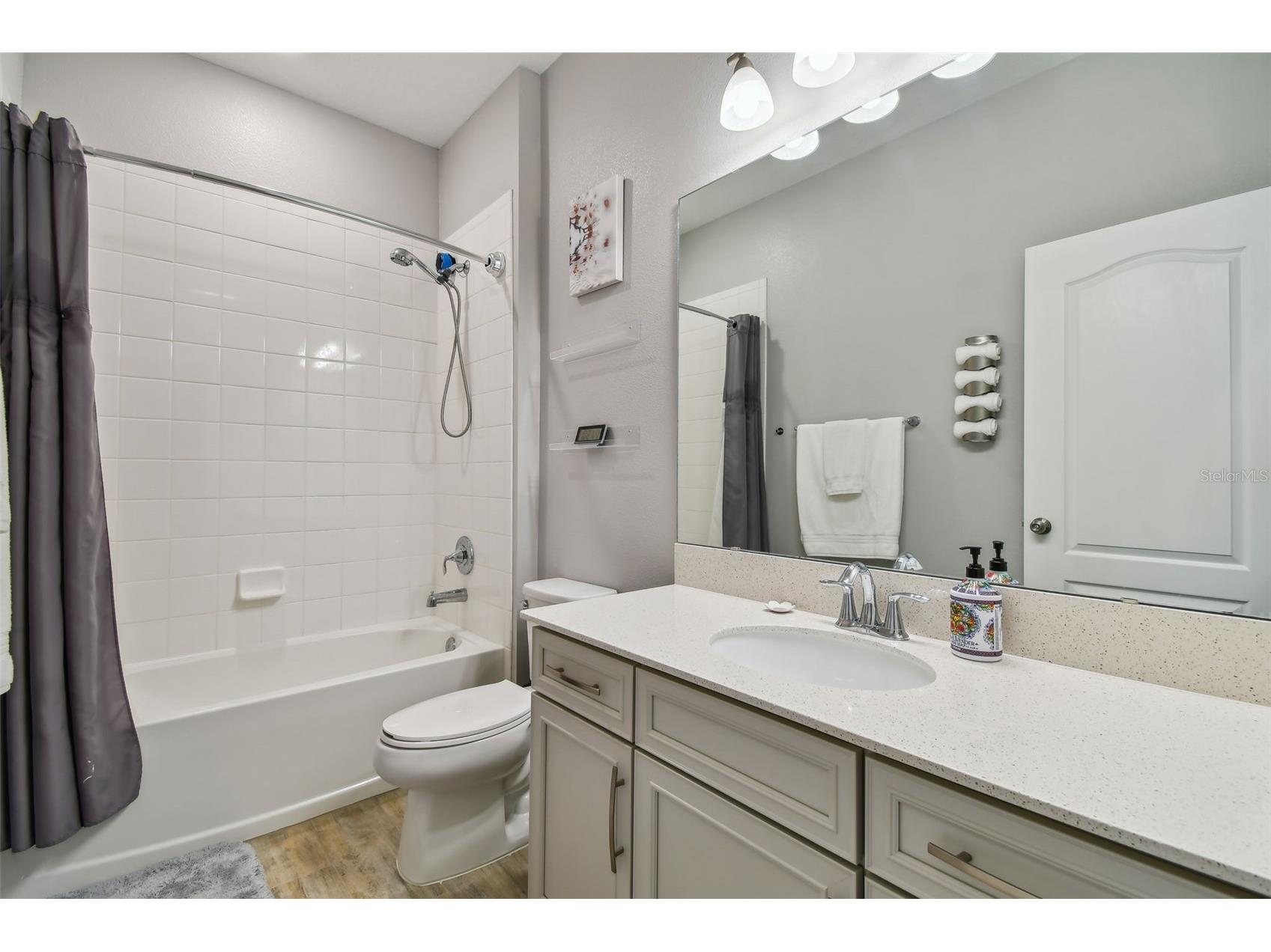 2433 Santa Vista Loop Apopka FL 32703 O6401464 image31