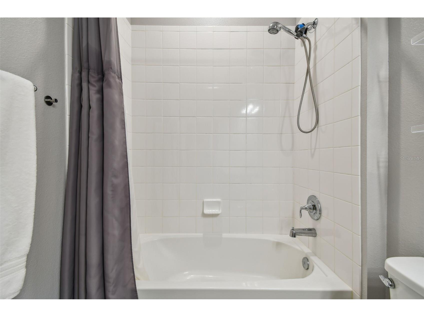 2433 Santa Vista Loop Apopka FL 32703 O6401464 image32