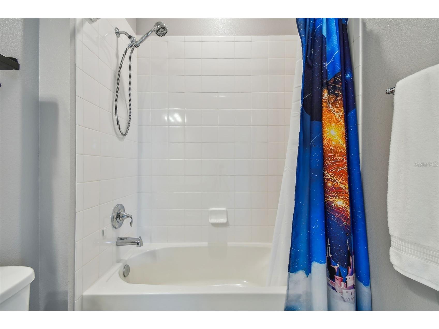 2433 Santa Vista Loop Apopka FL 32703 O6401464 image40