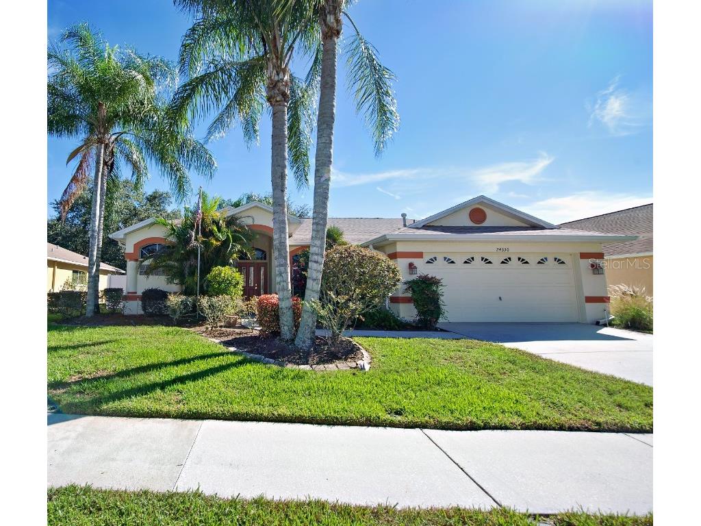 24330 Branchwood Court Lutz FL 33559 T3488092 image1
