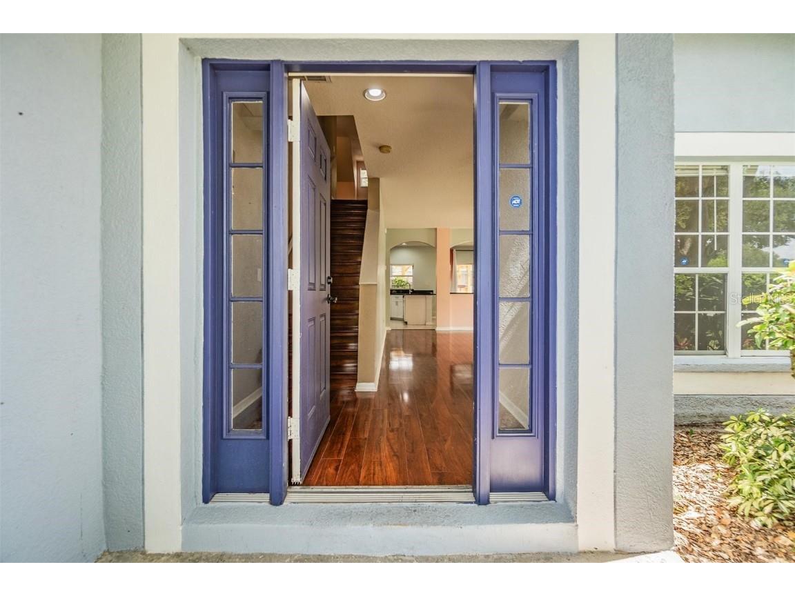 24332 Mistwood Court Lutz FL 33559 TB8371801 image1