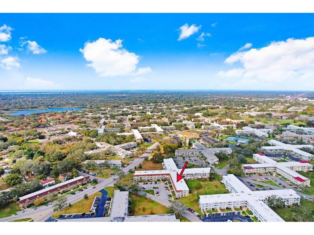 2434 Australia Way E #42 Clearwater FL 33763 TB8333932 image4