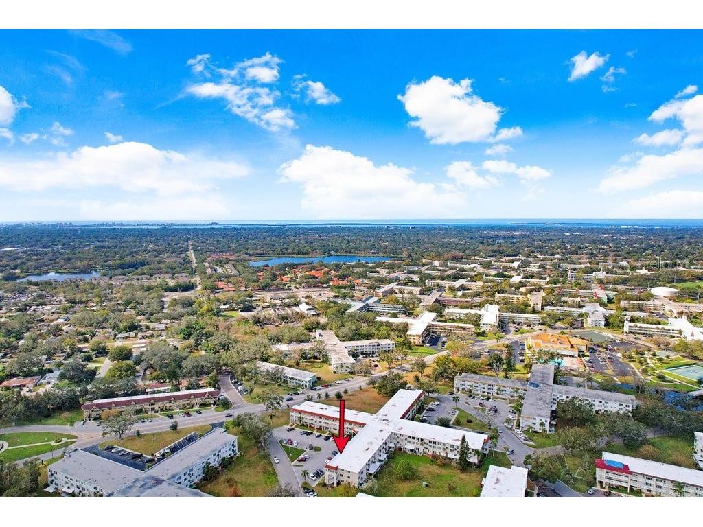 2434 Australia Way E #42 Clearwater FL 33763 TB8333932 image5