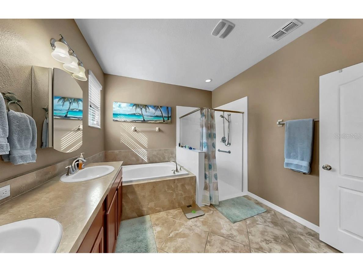 2434 Dakota Rock Drive Ruskin FL 33570 TB8447528 image36