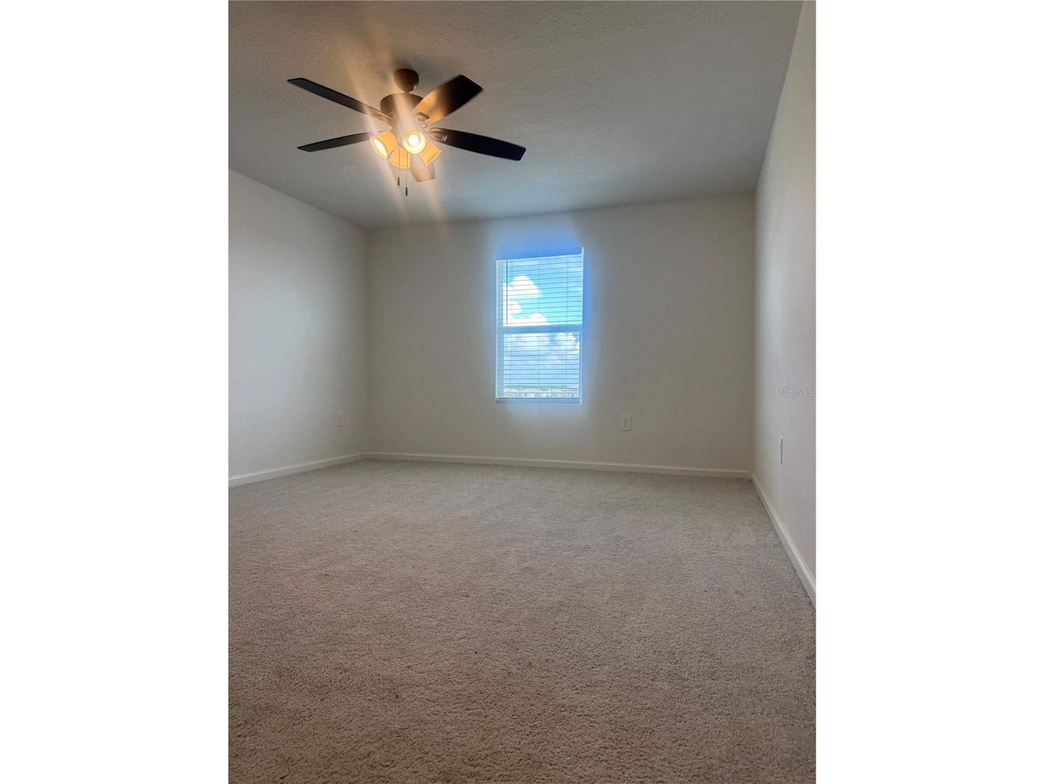 2434 Mckinley Drive Lake Wales FL 33853 S5153064 image17