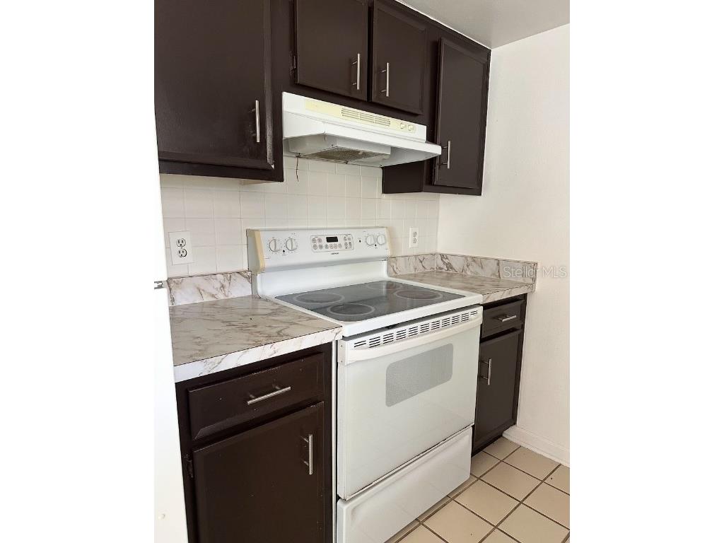 2434 Mill Run Boulevard Kissimmee FL 34744 S5138800 image6