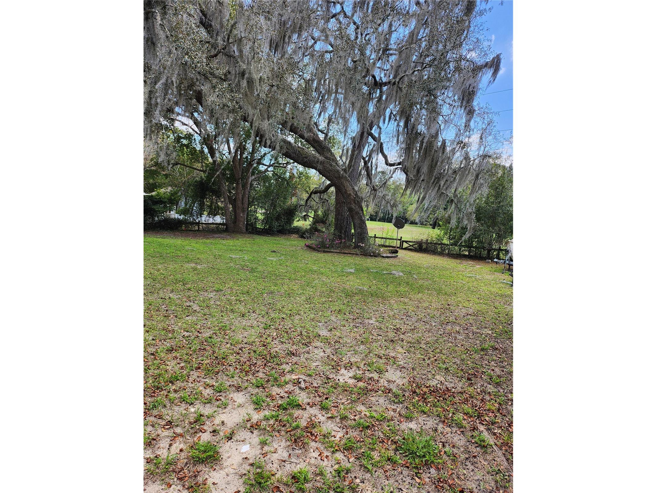 2434 W Gardenia Drive Citrus Springs FL 34434 TB8489963 image25