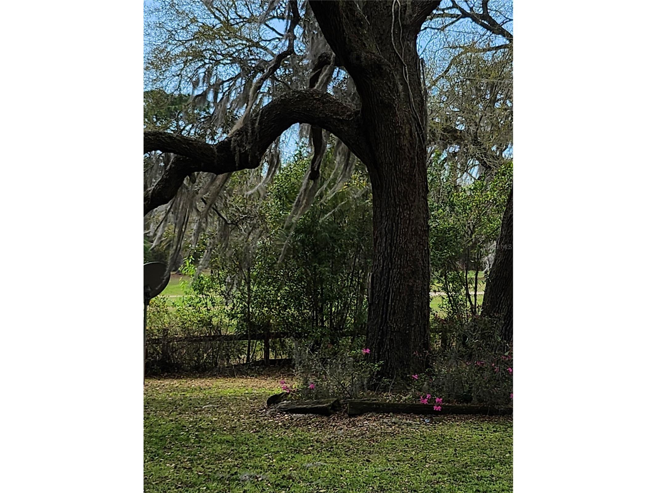 2434 W Gardenia Drive Citrus Springs FL 34434 TB8489963 image26