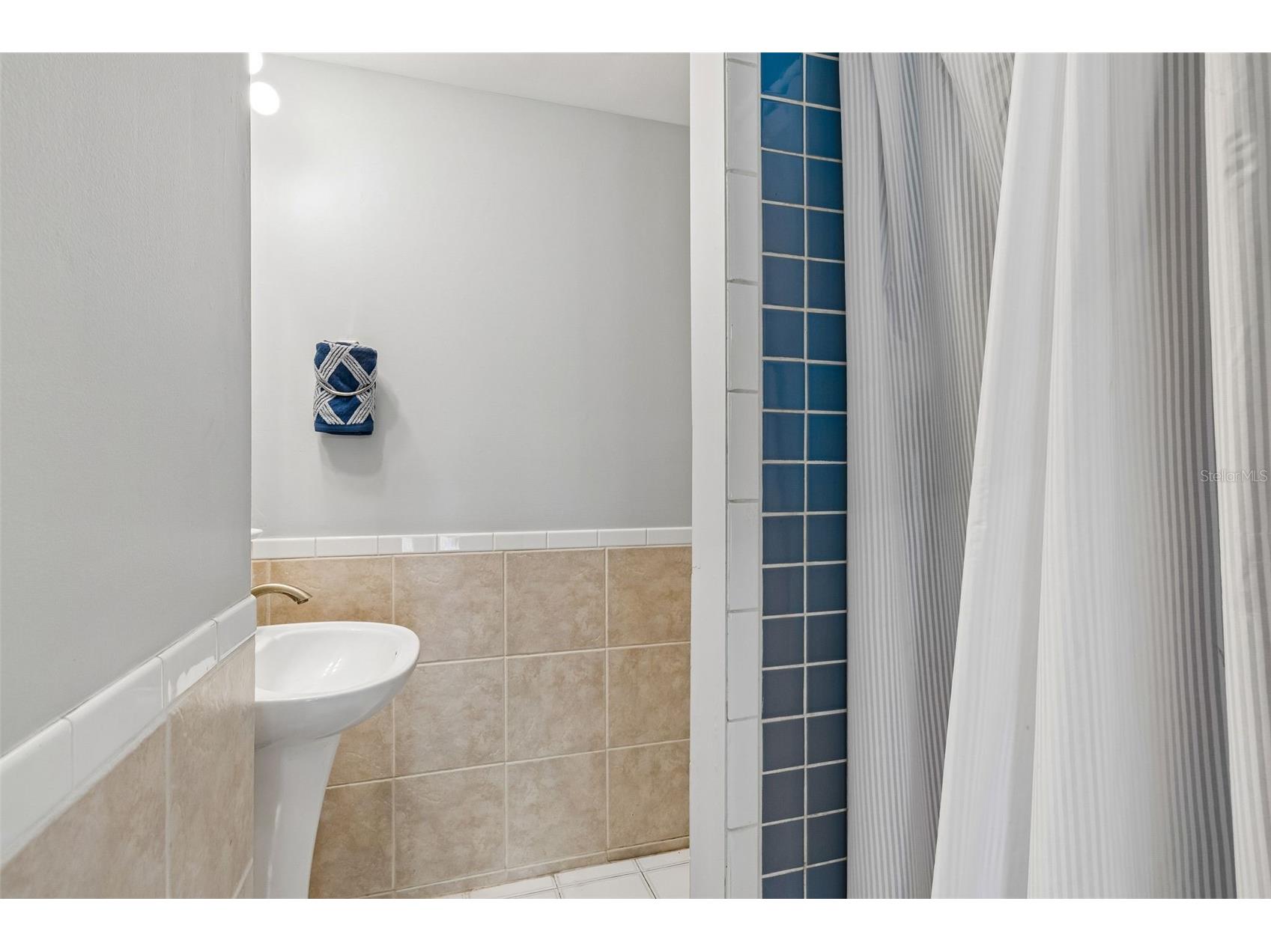 2434 W Prospect Road Tampa FL 33629 TB8510663 image43