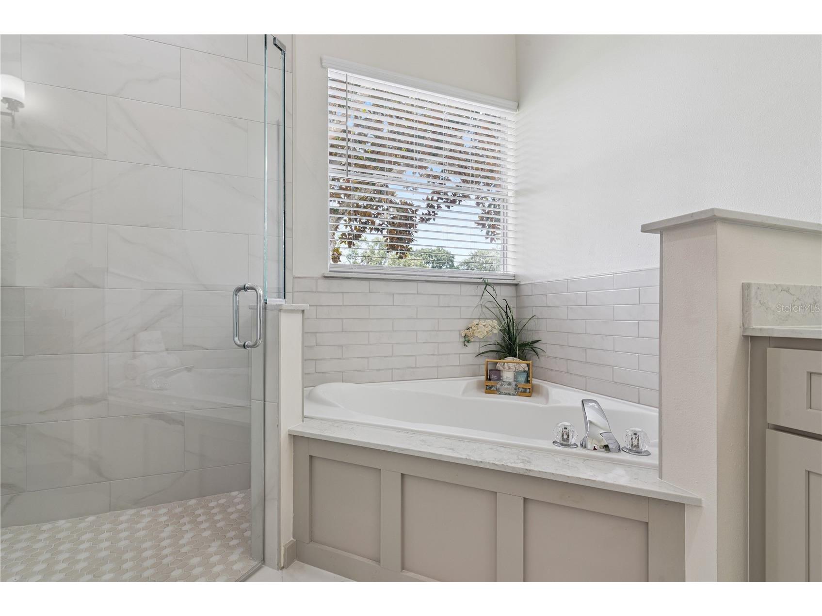 24345 Amberleaf Court Leesburg FL 34748 G5112285 image18