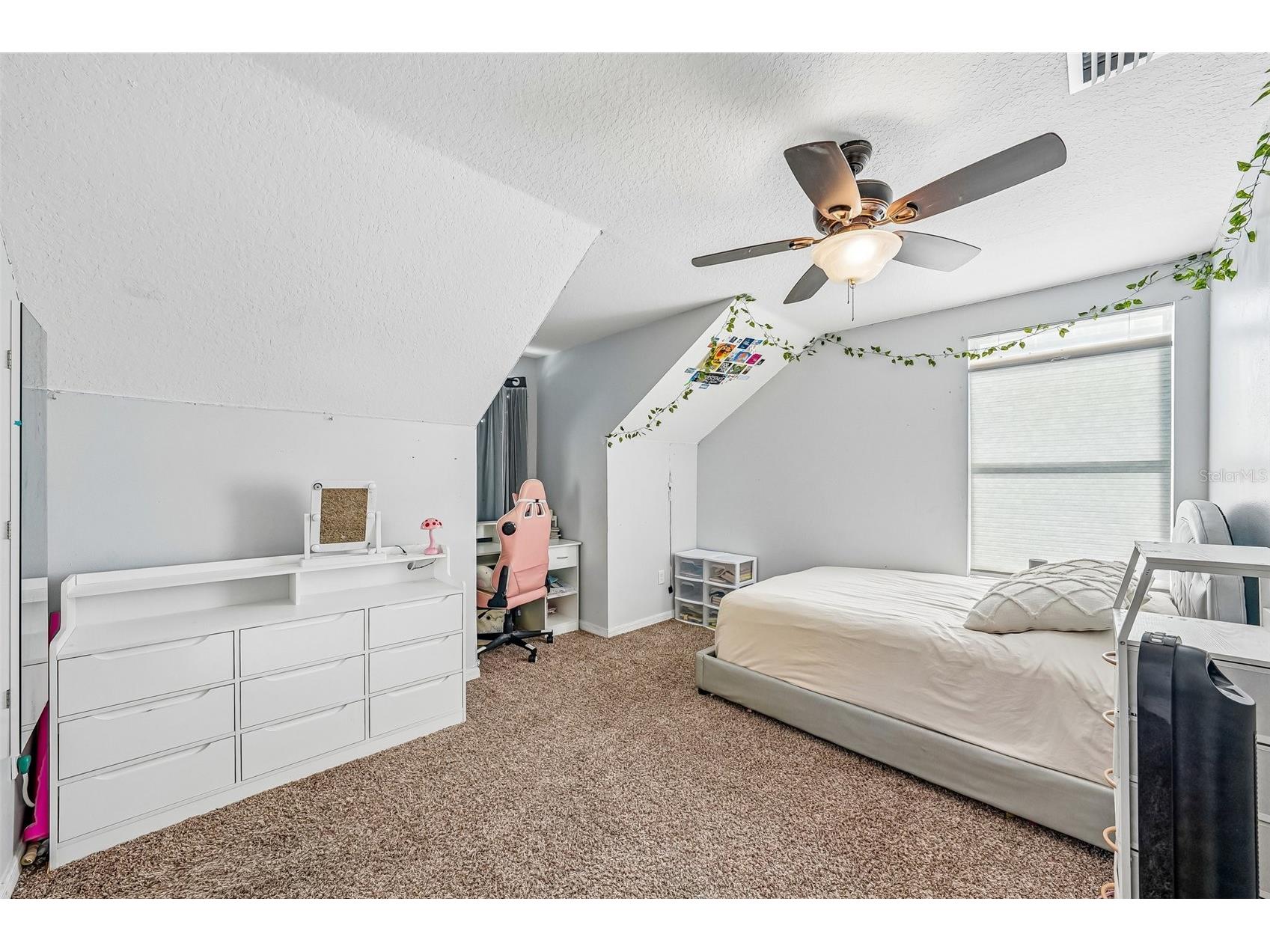 24348 Summer Wind Court Lutz FL 33559 TB8503464 image21