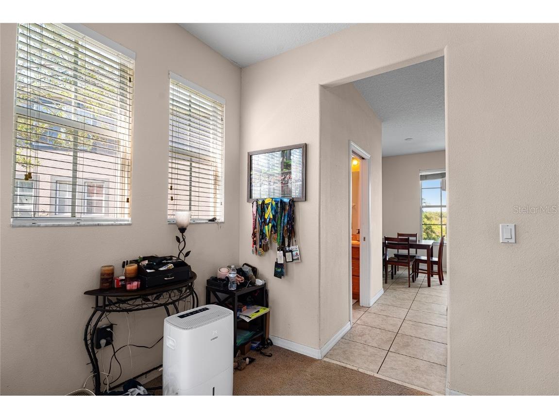 2435 Lexington Oak Drive Brandon FL 33511 TB8441196 image11