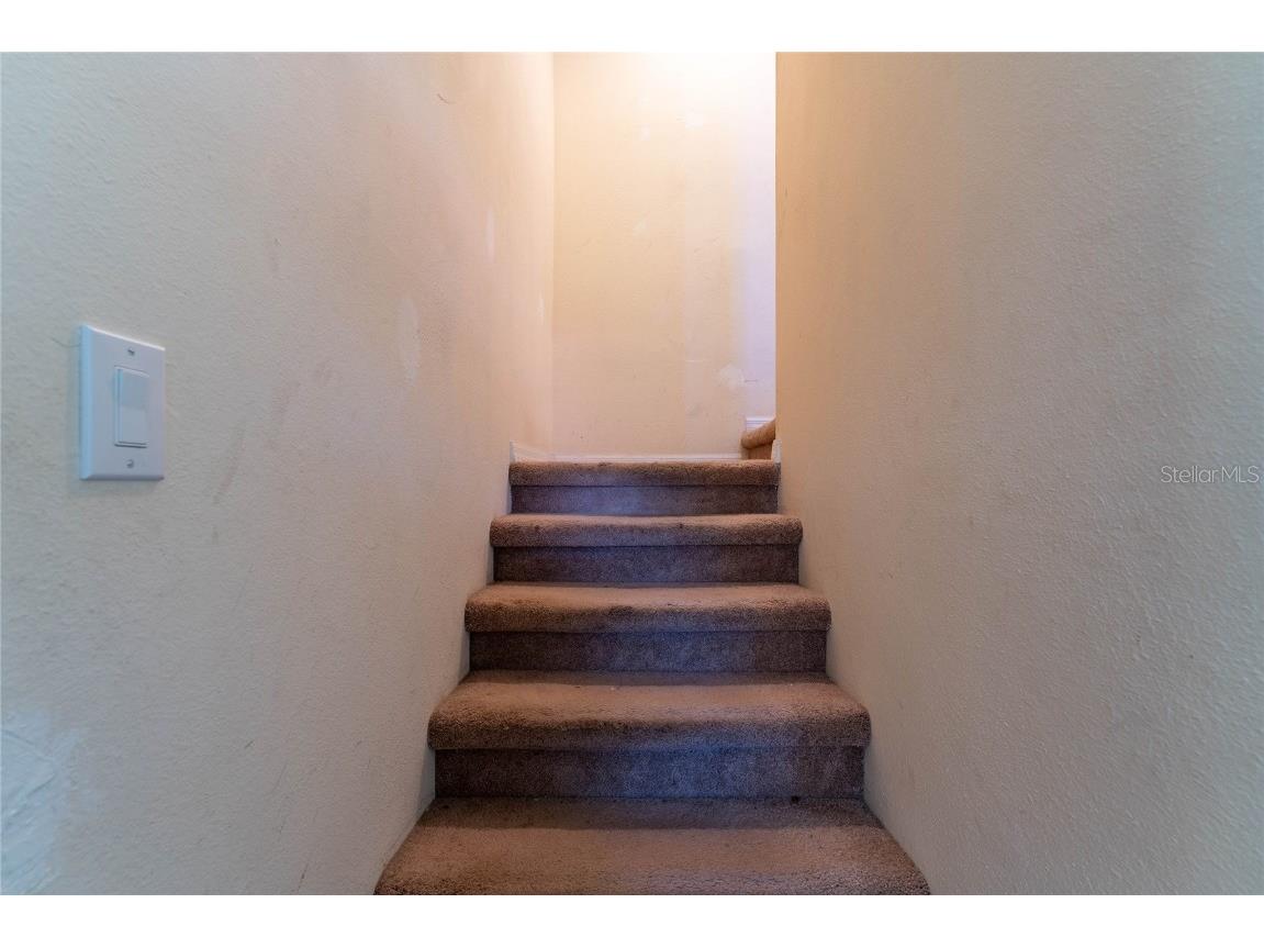 2435 Lexington Oak Drive Brandon FL 33511 TB8441196 image21