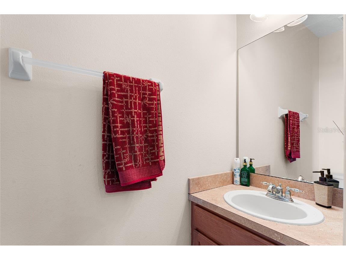 2435 Lexington Oak Drive Brandon FL 33511 TB8441196 image28