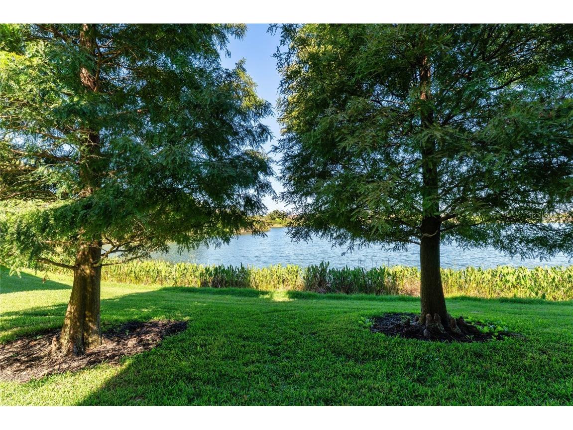 2435 Lexington Oak Drive Brandon FL 33511 TB8441196 image43