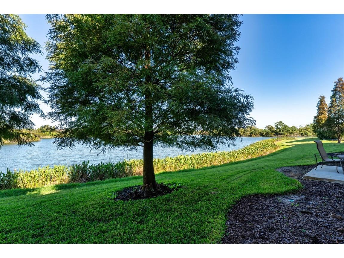 2435 Lexington Oak Drive Brandon FL 33511 TB8441196 image44