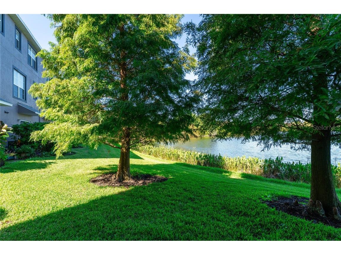 2435 Lexington Oak Drive Brandon FL 33511 TB8441196 image45