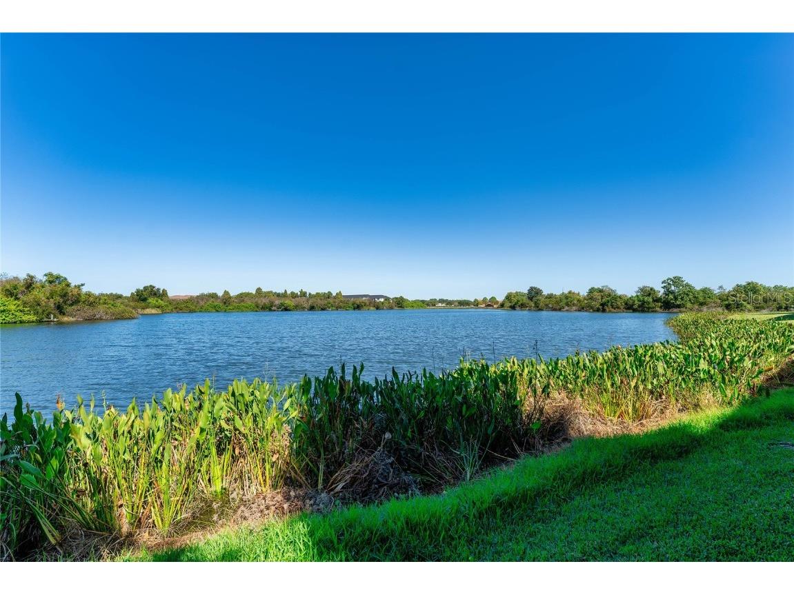 2435 Lexington Oak Drive Brandon FL 33511 TB8441196 image46