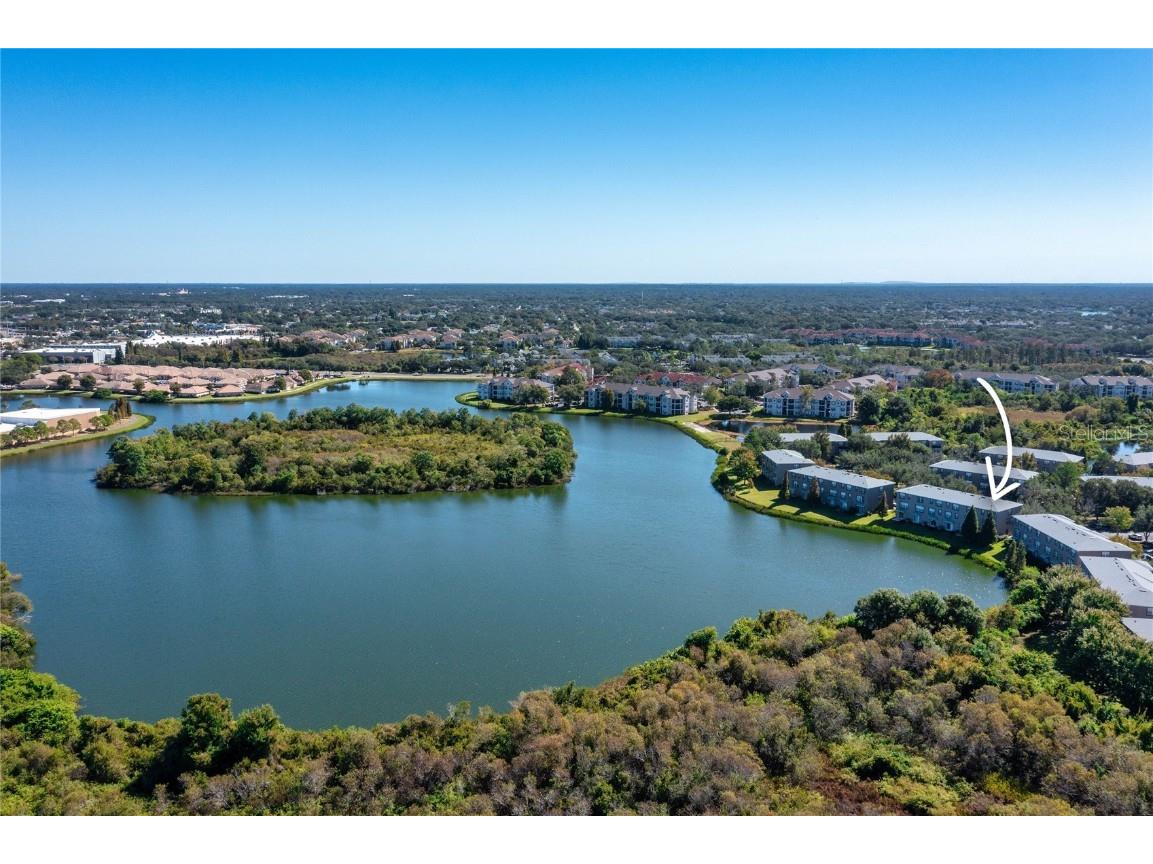 2435 Lexington Oak Drive Brandon FL 33511 TB8441196 image48