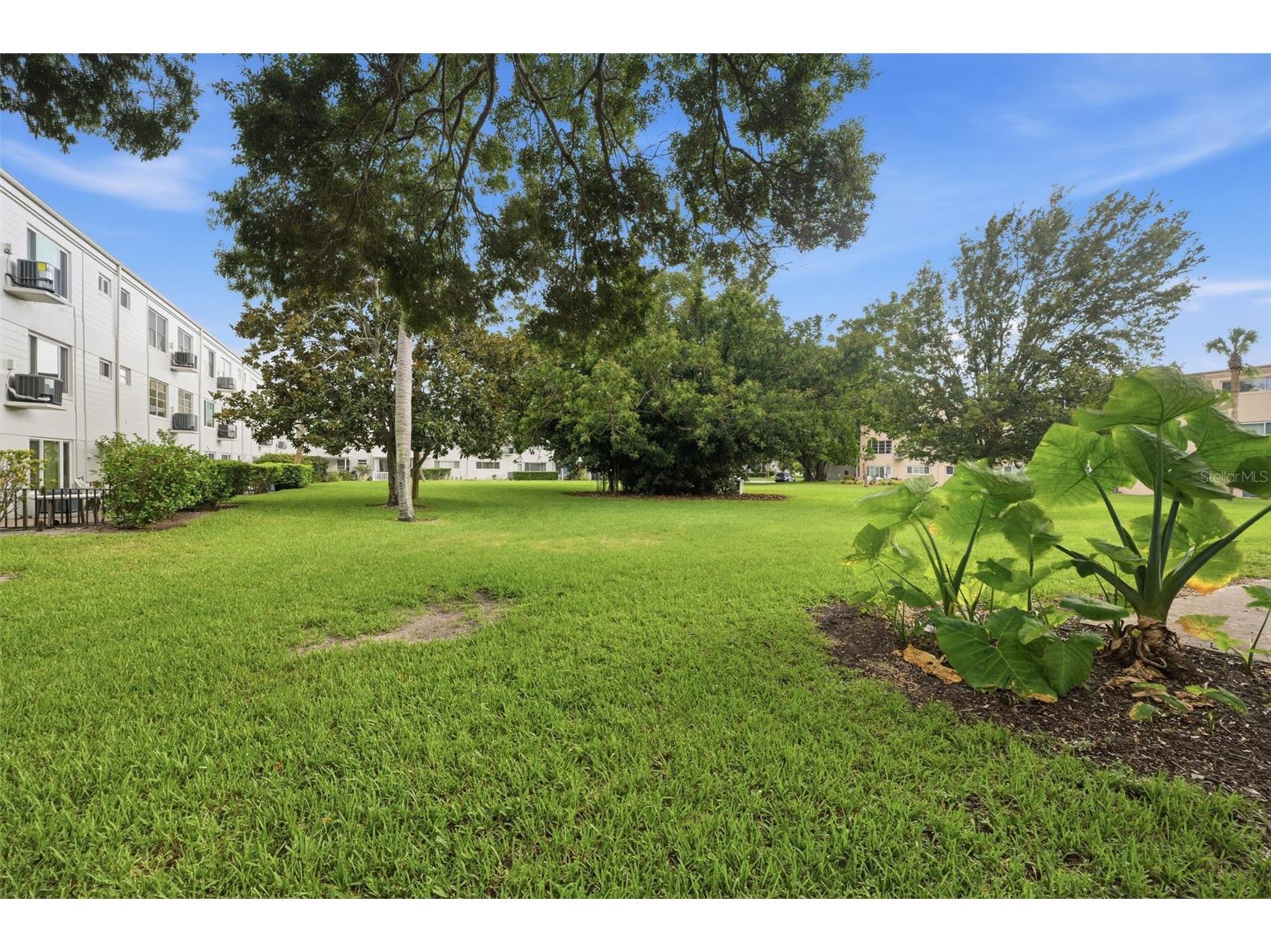 2435 Sumatran Way #23 Clearwater FL 33763 TB8525363 image24