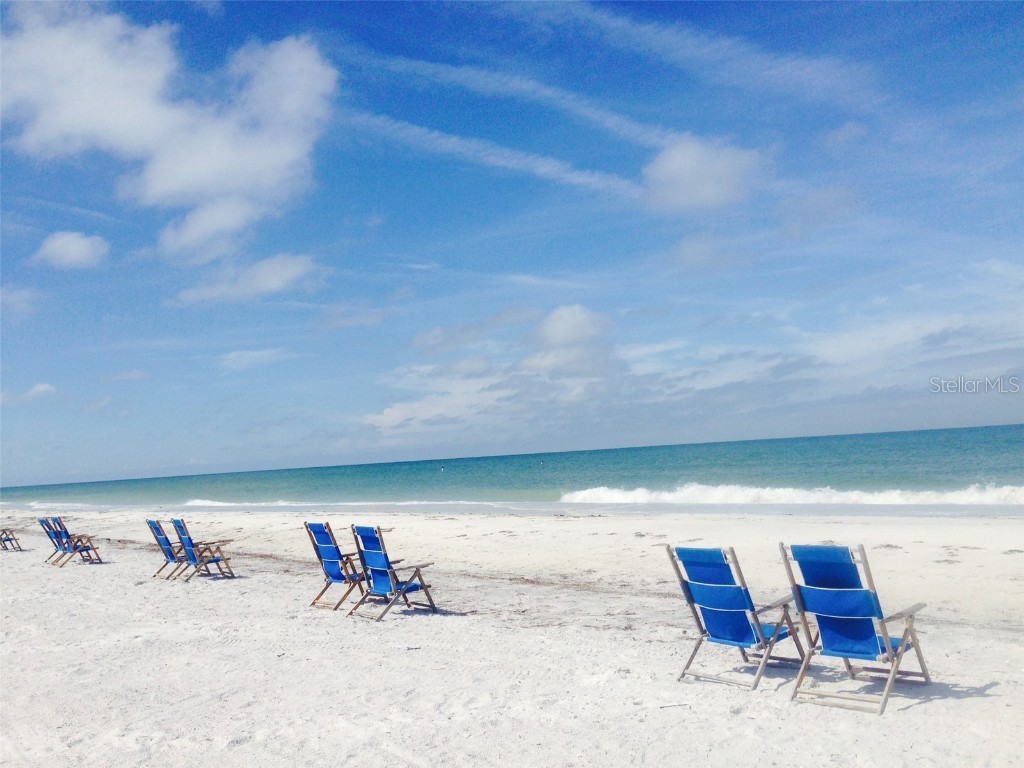 2435 Sumatran Way #35 Clearwater FL 33763 A4672322 image31