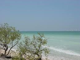 2435 Sumatran Way #35 Clearwater FL 33763 A4672322 image32