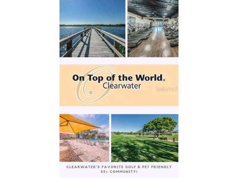 2435 Sumatran Way #35 Clearwater FL 33763 A4672322 image34