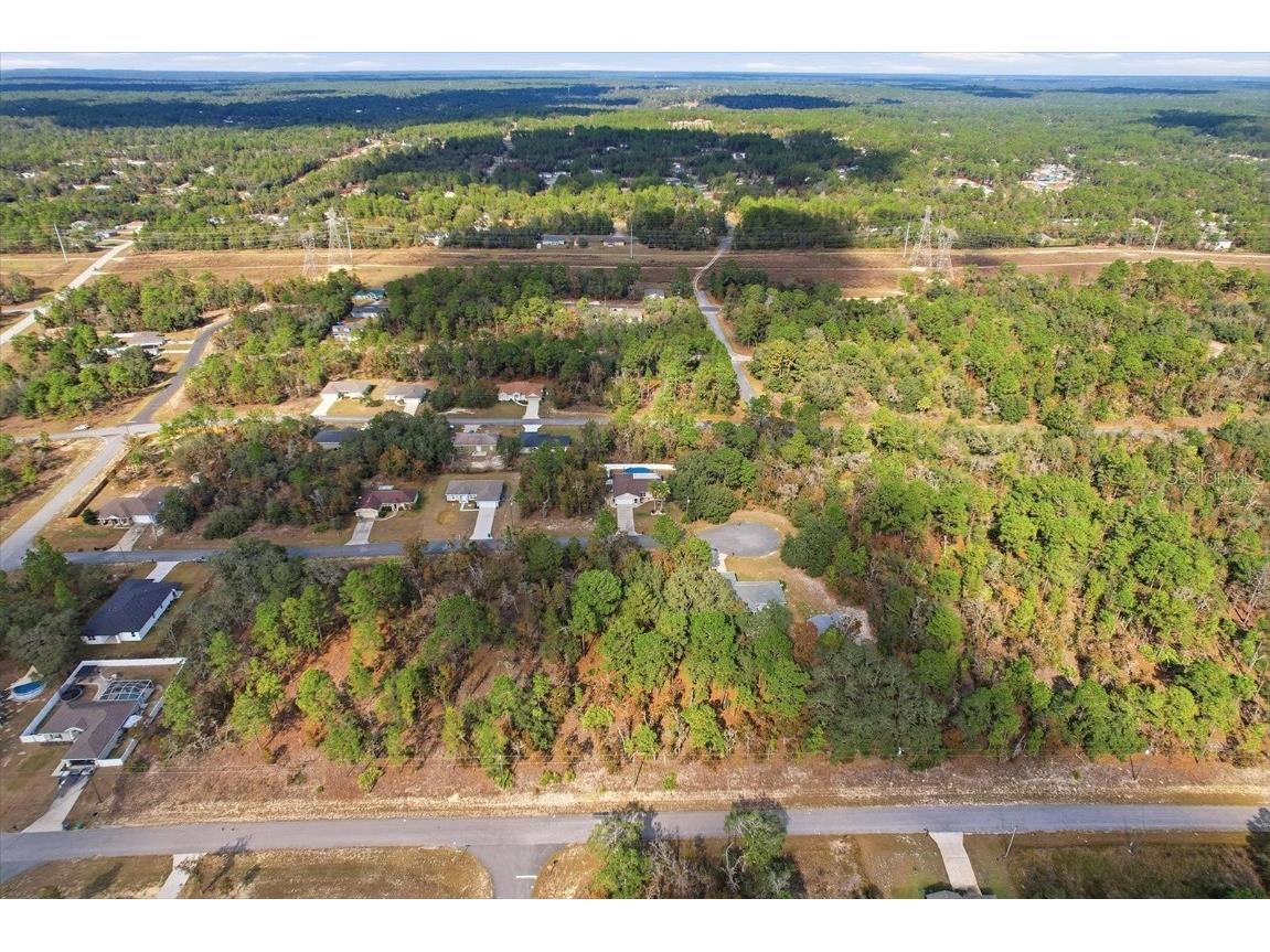 2435 W Lawrence Court Dunnellon FL 34434 TB8452502 image42