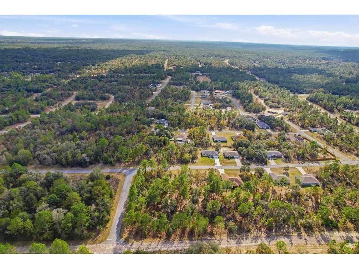 2435 W Lawrence Court Dunnellon FL 34434 TB8452502 image45