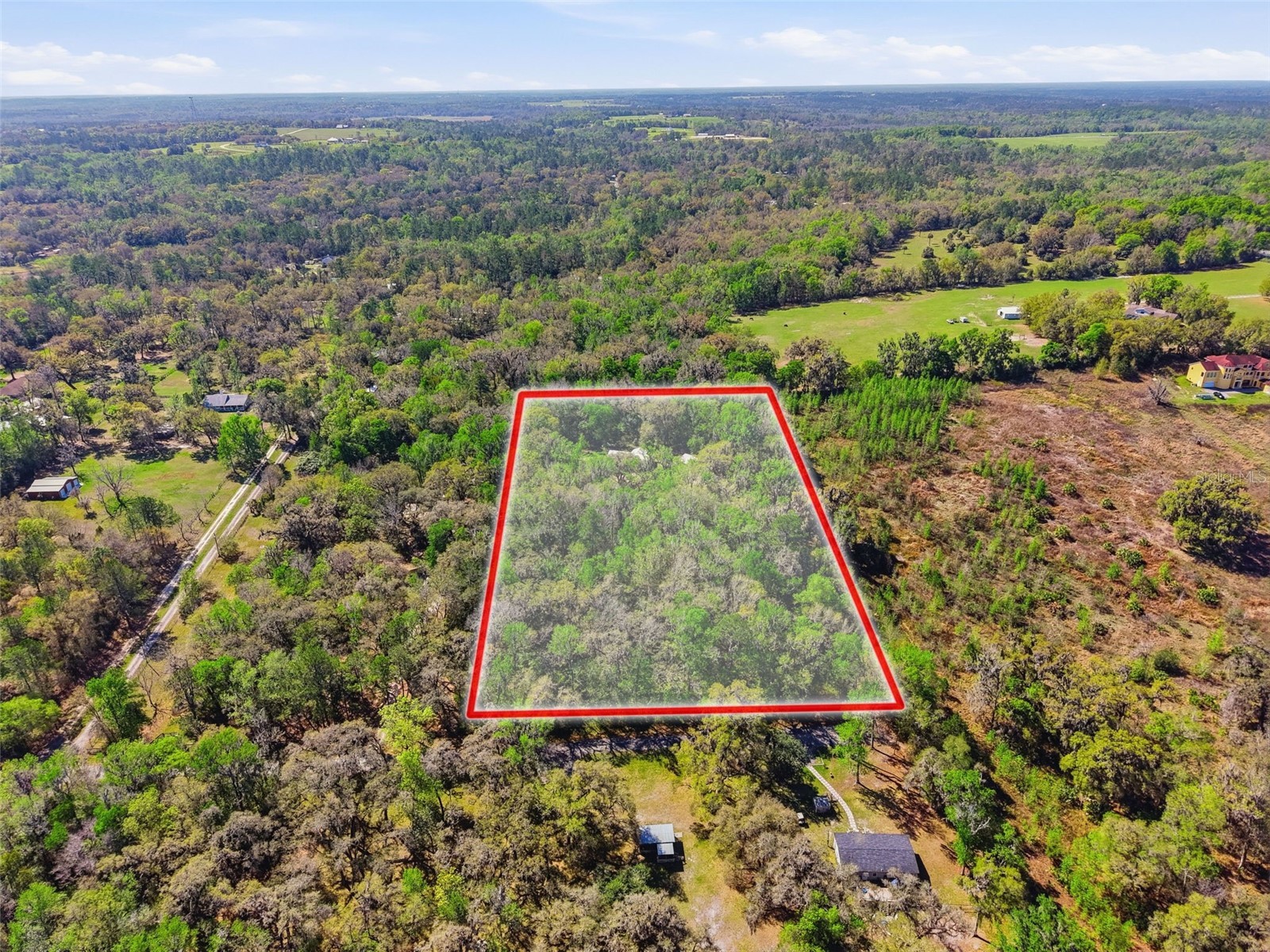 24350 Lanark Road Brooksville FL 34601 W7883484 image35