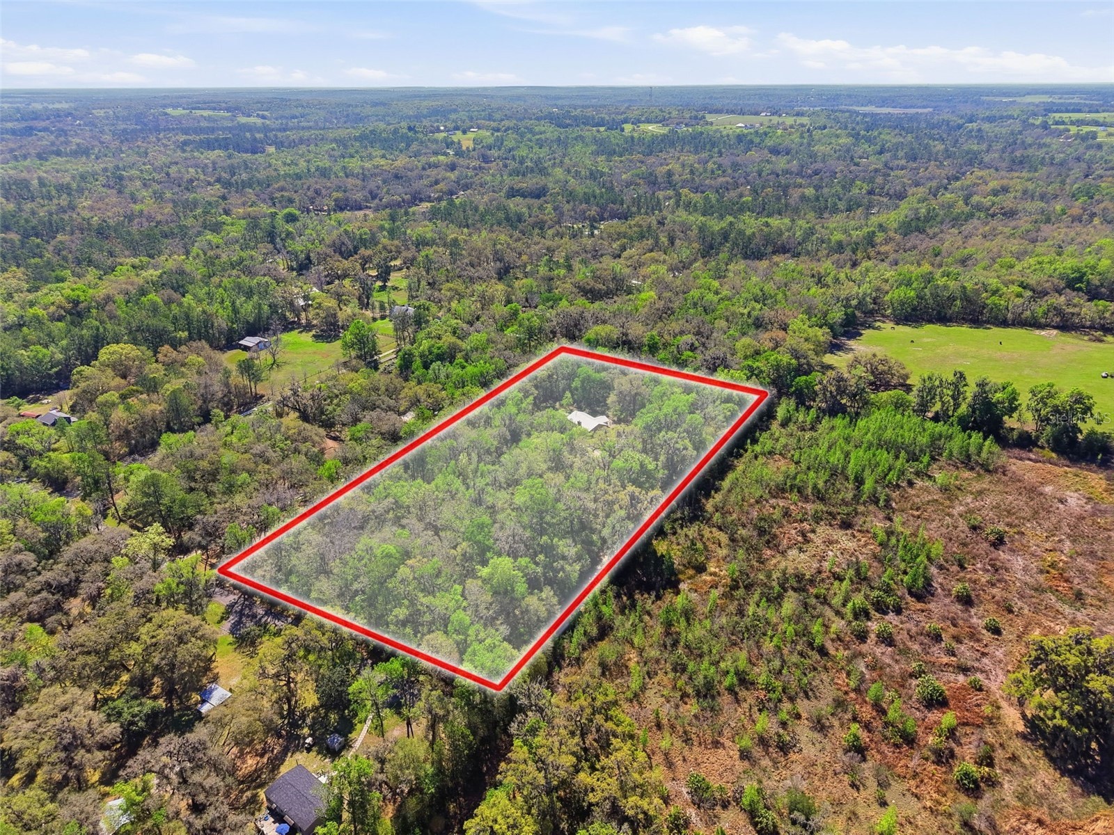 24350 Lanark Road Brooksville FL 34601 W7883484 image36