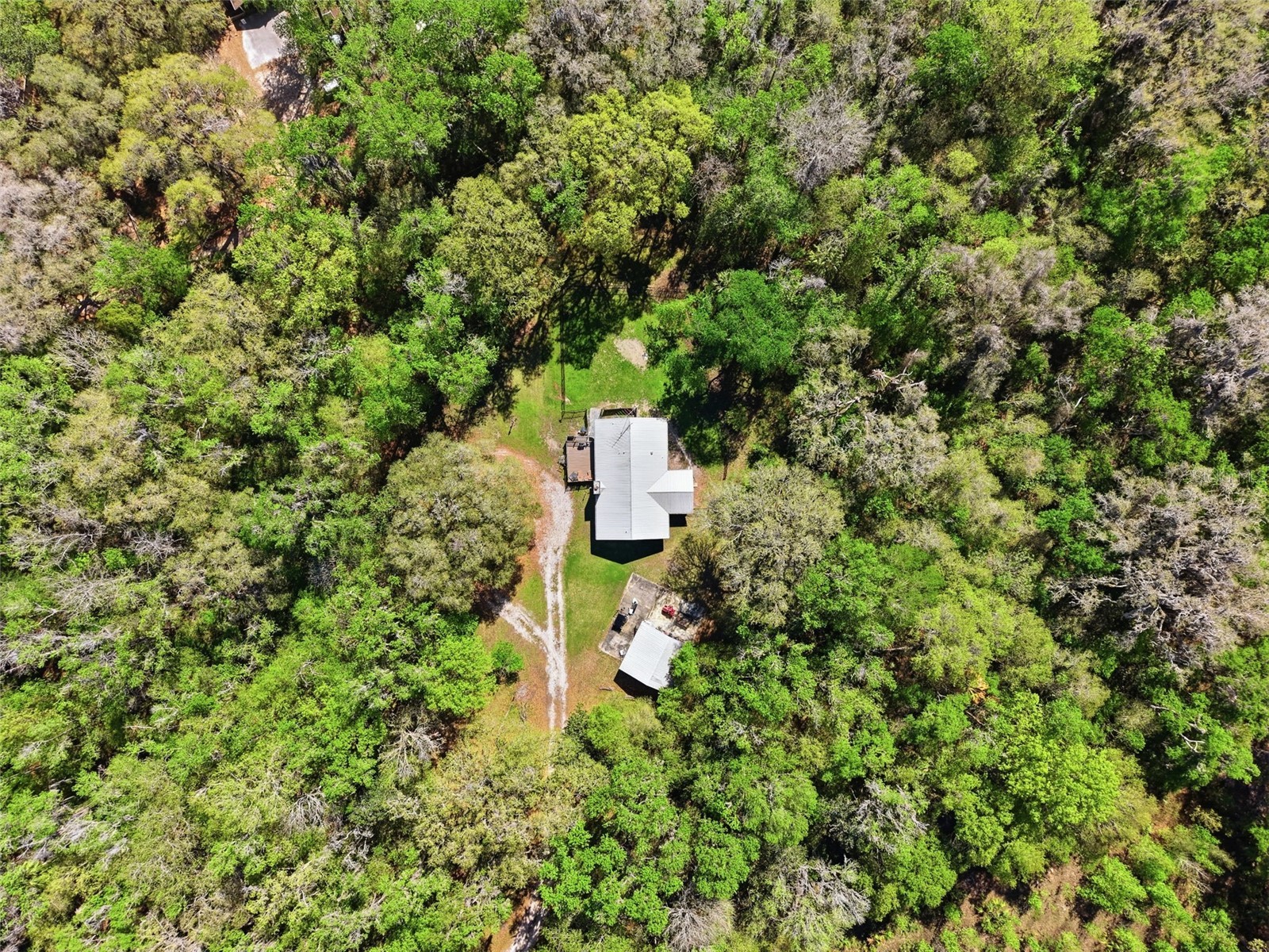 24350 Lanark Road Brooksville FL 34601 W7883484 image38