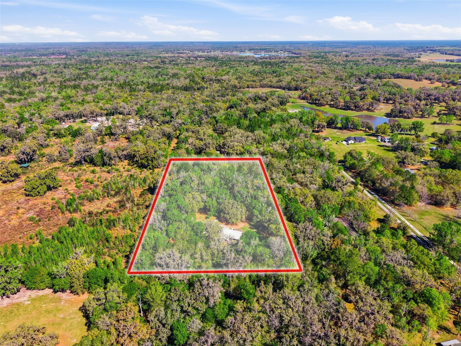 24350 Lanark Road Brooksville FL 34601 W7883484 image49