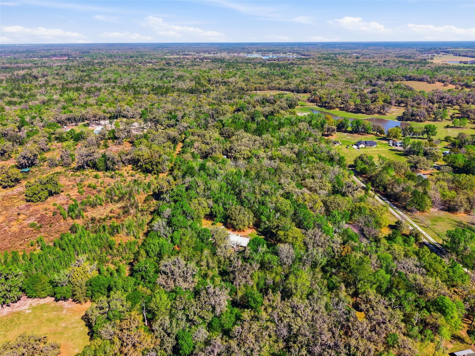 24350 Lanark Road Brooksville FL 34601 W7883484 image50