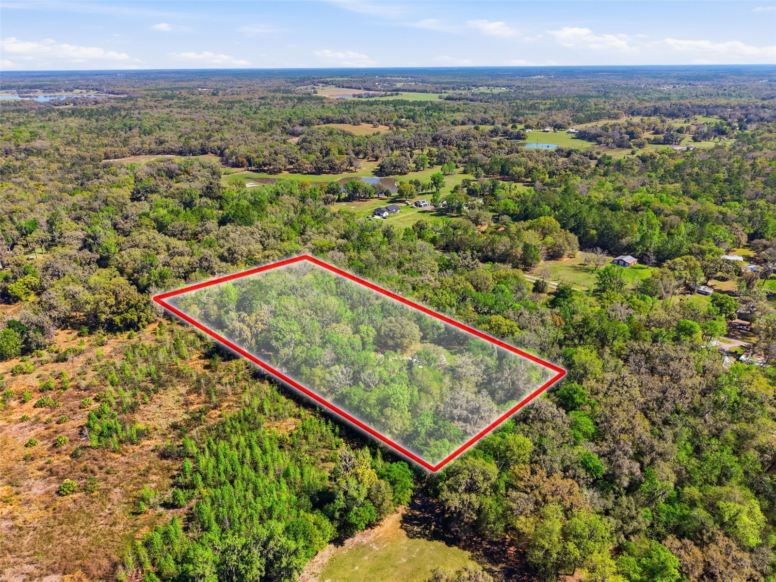 24350 Lanark Road Brooksville FL 34601 W7883484 image51
