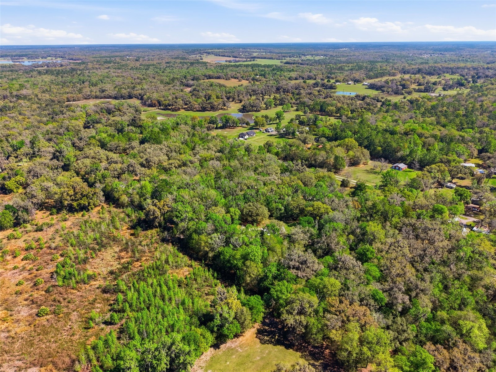 24350 Lanark Road Brooksville FL 34601 W7883484 image52