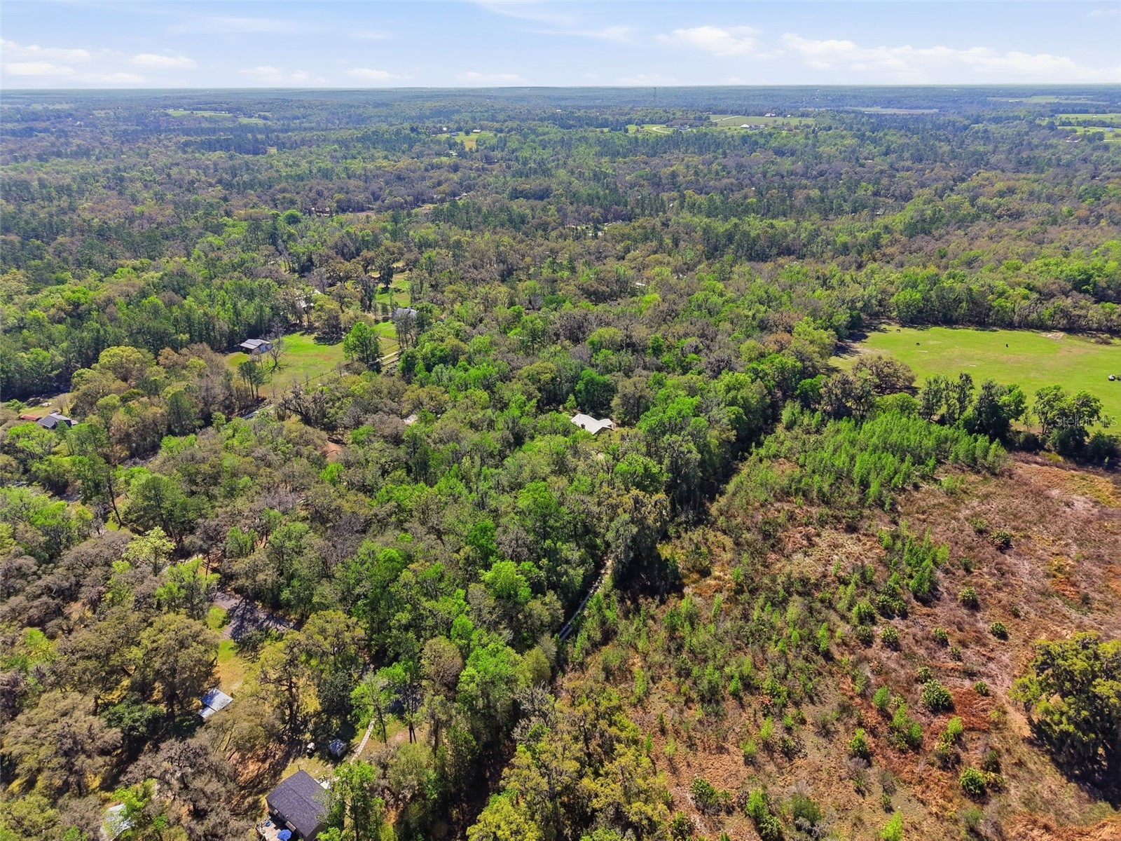 24350 Lanark Road Brooksville FL 34601 W7883484 image53