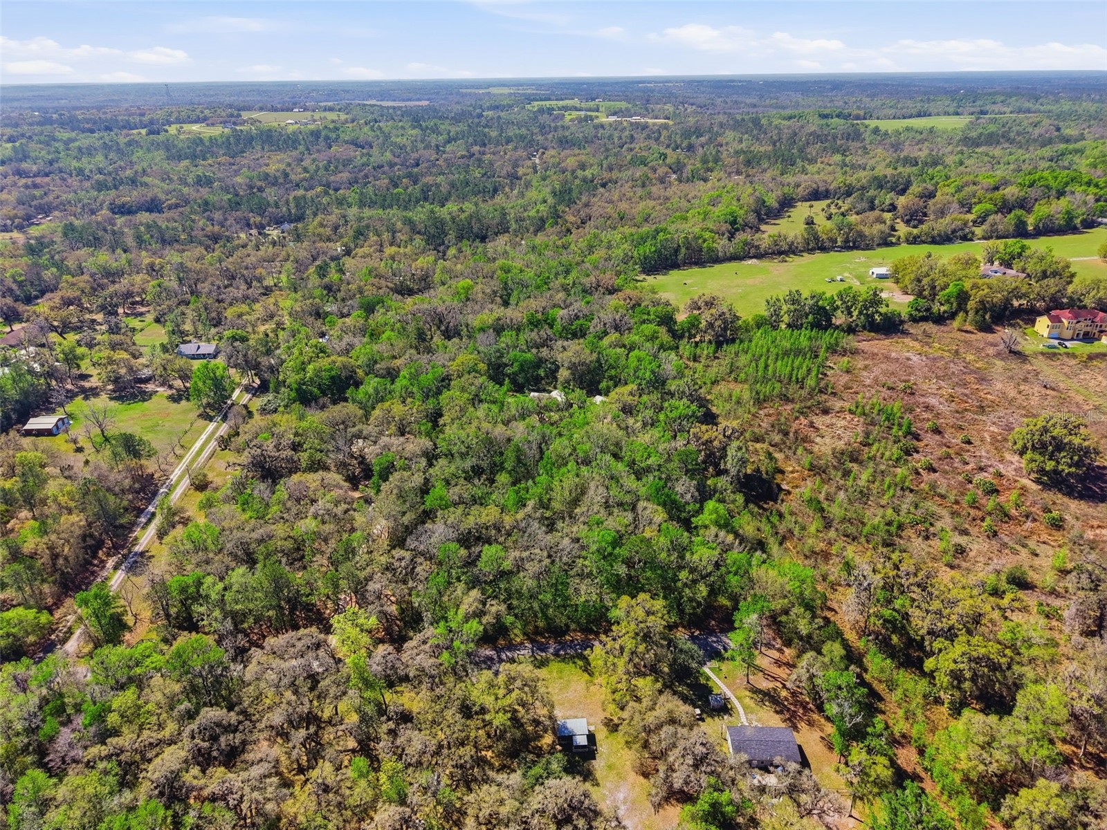 24350 Lanark Road Brooksville FL 34601 W7883484 image54