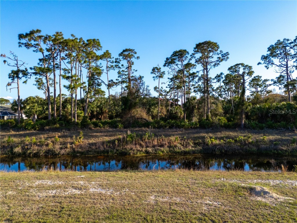 24351 Penhollow Court Punta Gorda FL 33955 C7505177 image10