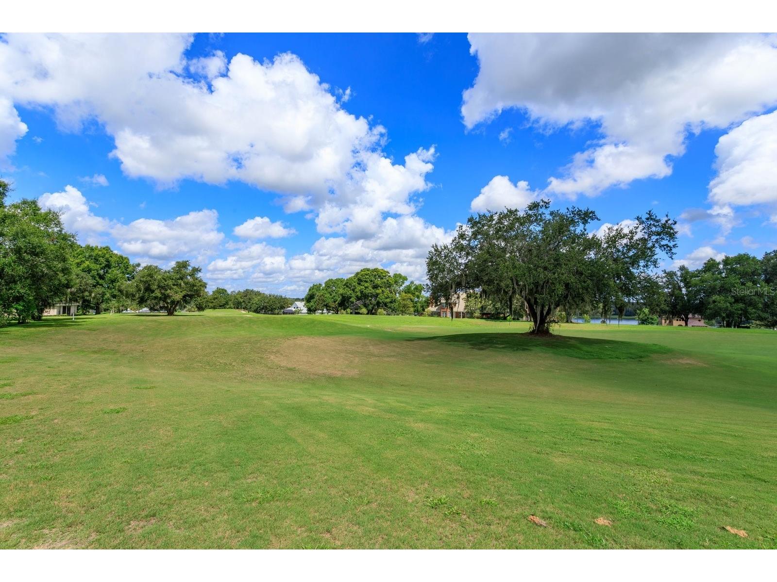 24353 Calusa Boulevard Eustis FL 32736 G5100072 image26