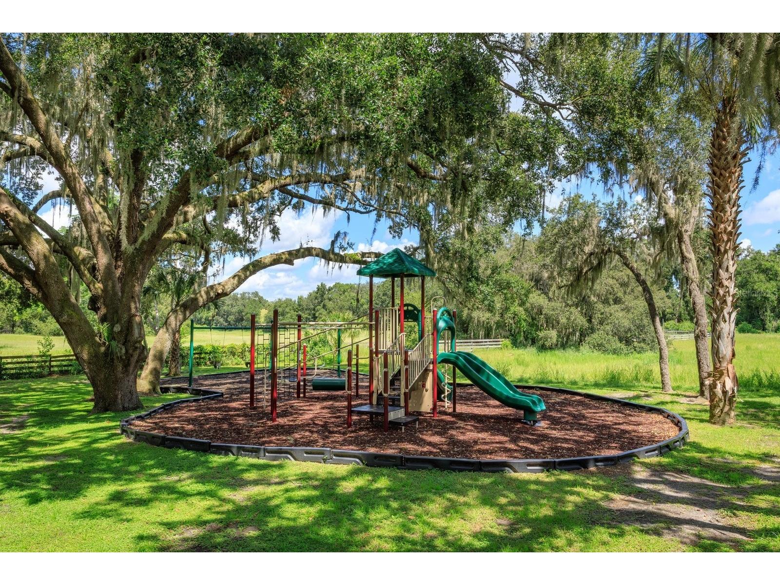 24353 Calusa Boulevard Eustis FL 32736 G5100072 image28