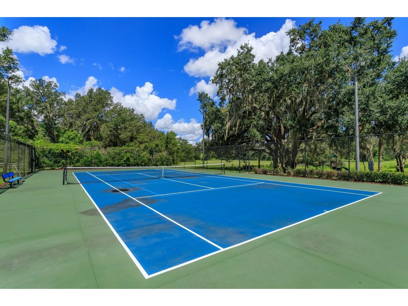 24353 Calusa Boulevard Eustis FL 32736 G5100072 image29