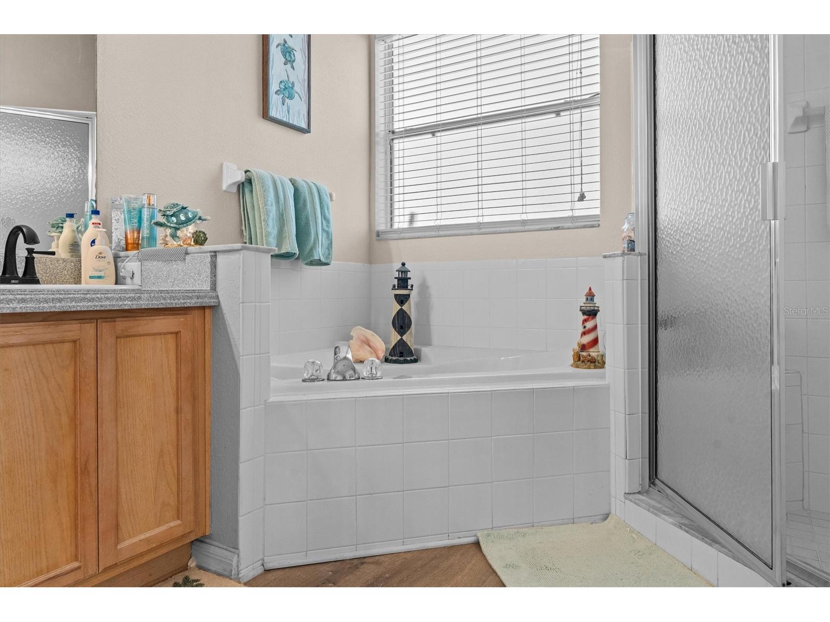 24357 Amberleaf Court Leesburg FL 34748 O6403041 image17