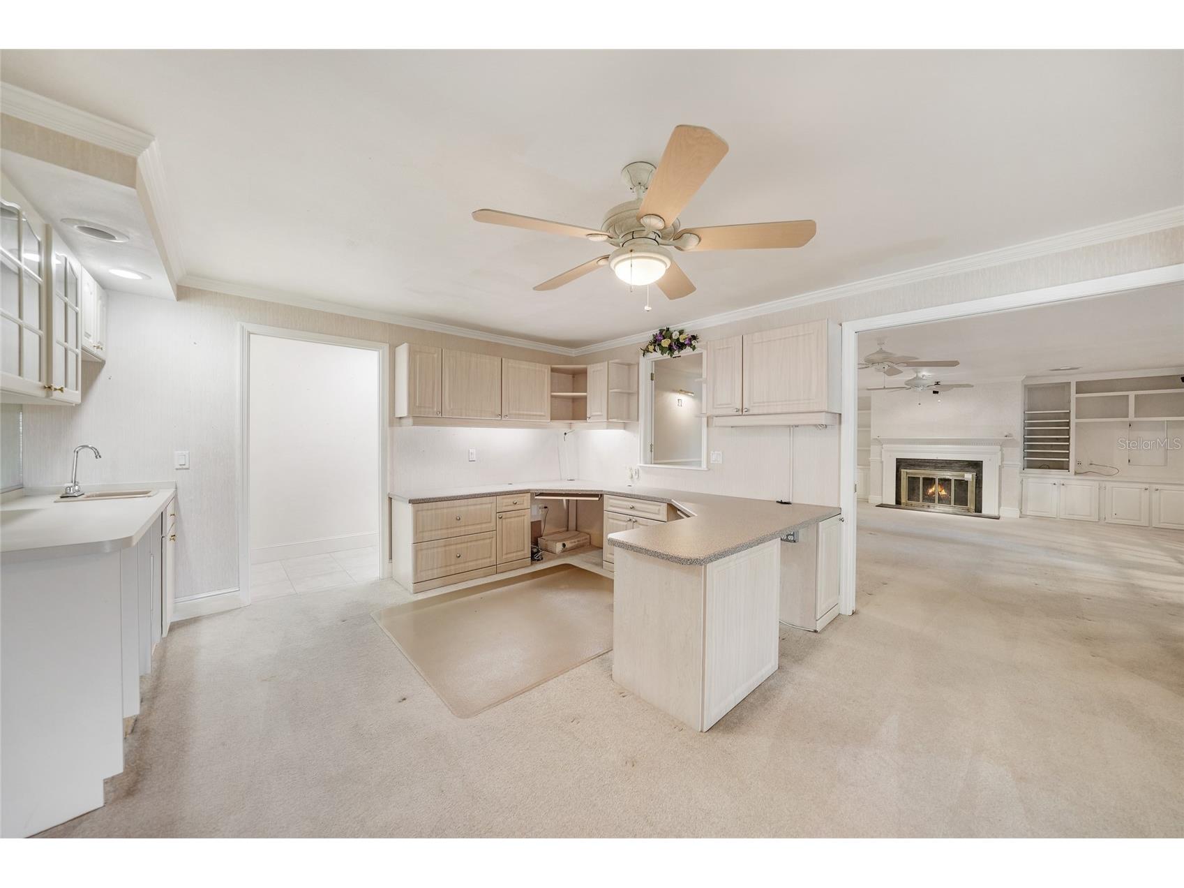 24358 SW Kingsway Circle Lake Suzy FL 34269 C7519813 image17