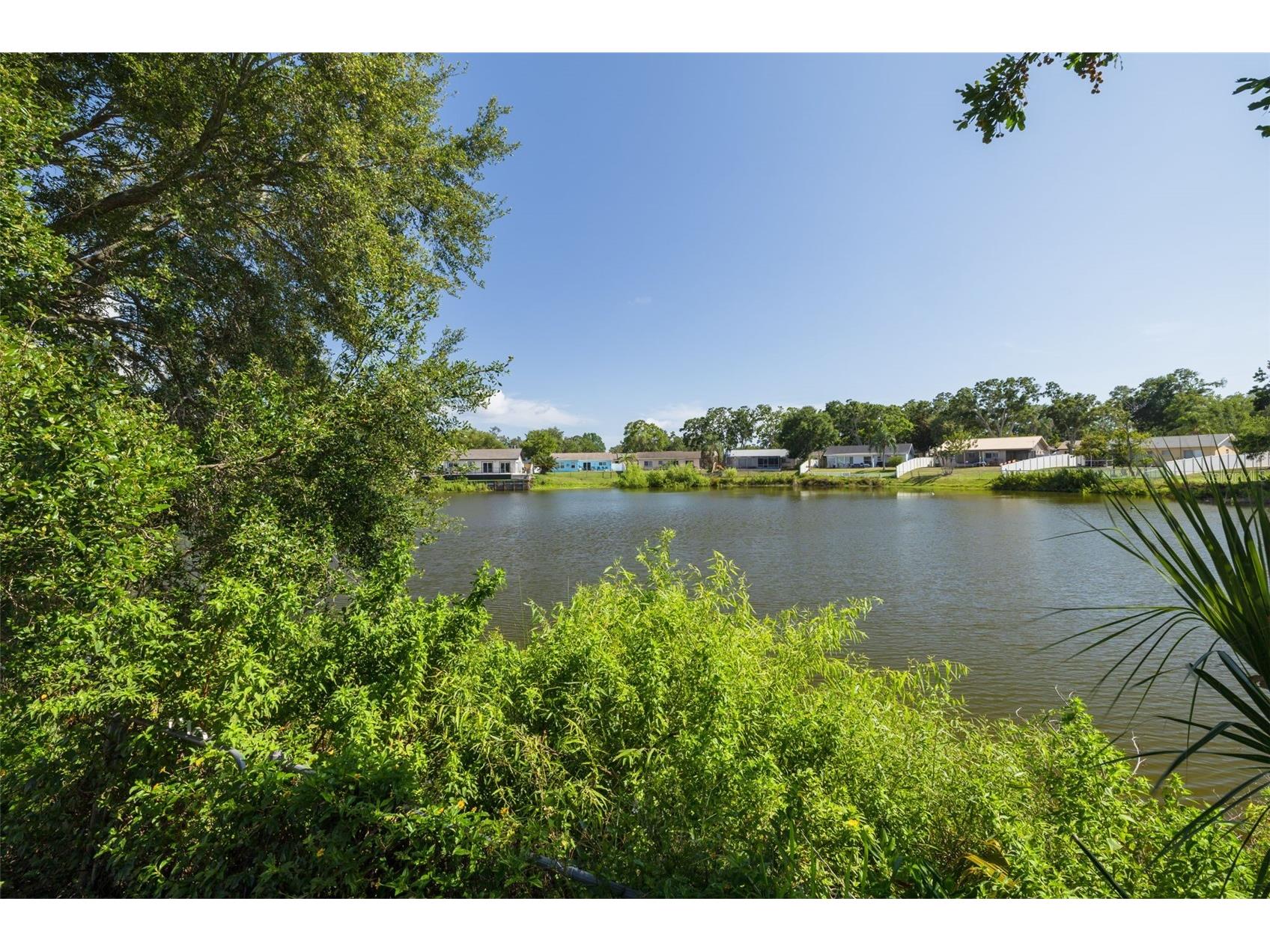 2436 Beacon Groves Boulevard Palm Harbor FL 34683 TB8465304 image27