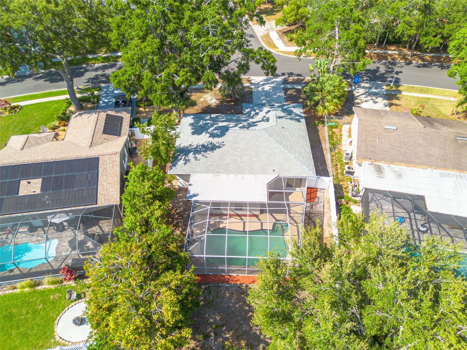 2436 Beacon Groves Boulevard Palm Harbor FL 34683 TB8465304 image30