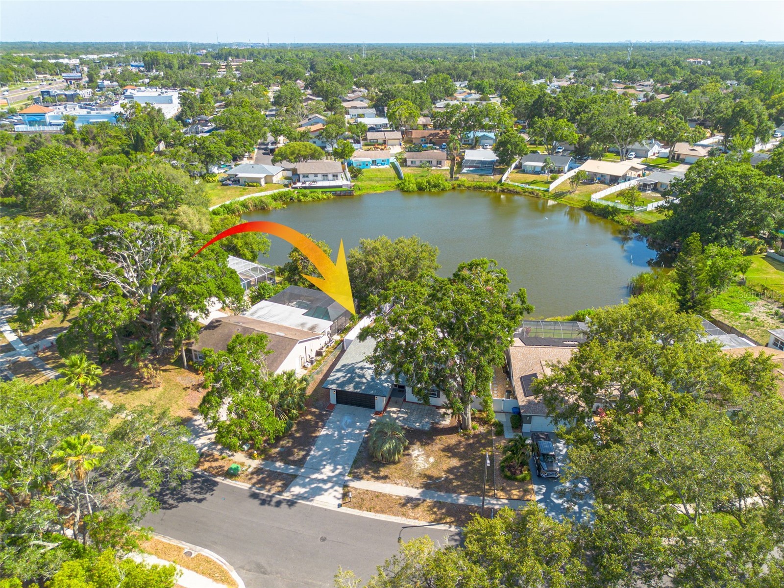 2436 Beacon Groves Boulevard Palm Harbor FL 34683 TB8465304 image31