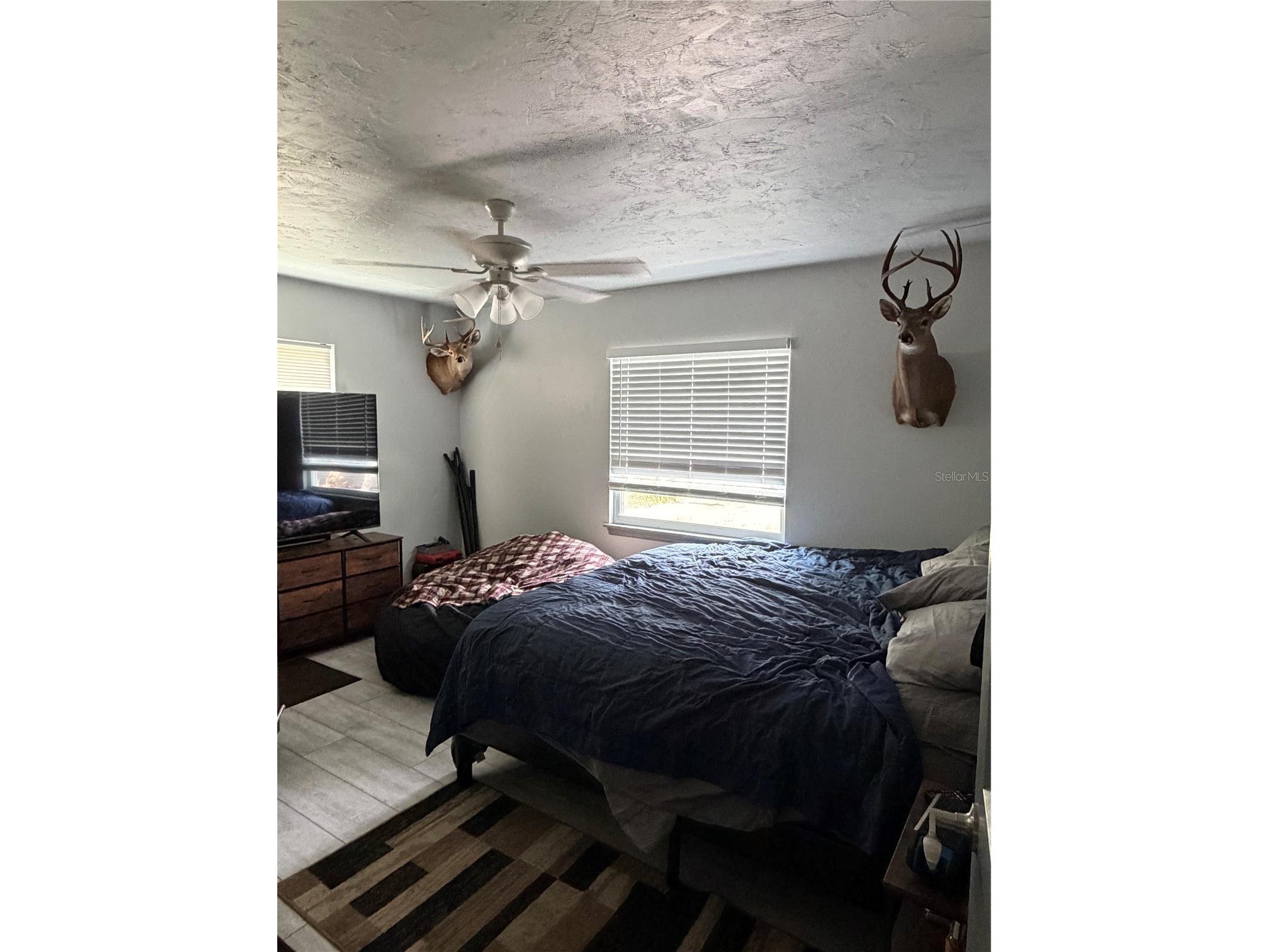 2436 Claire Avenue New Smyrna Beach FL 32168 NS1088693 image10
