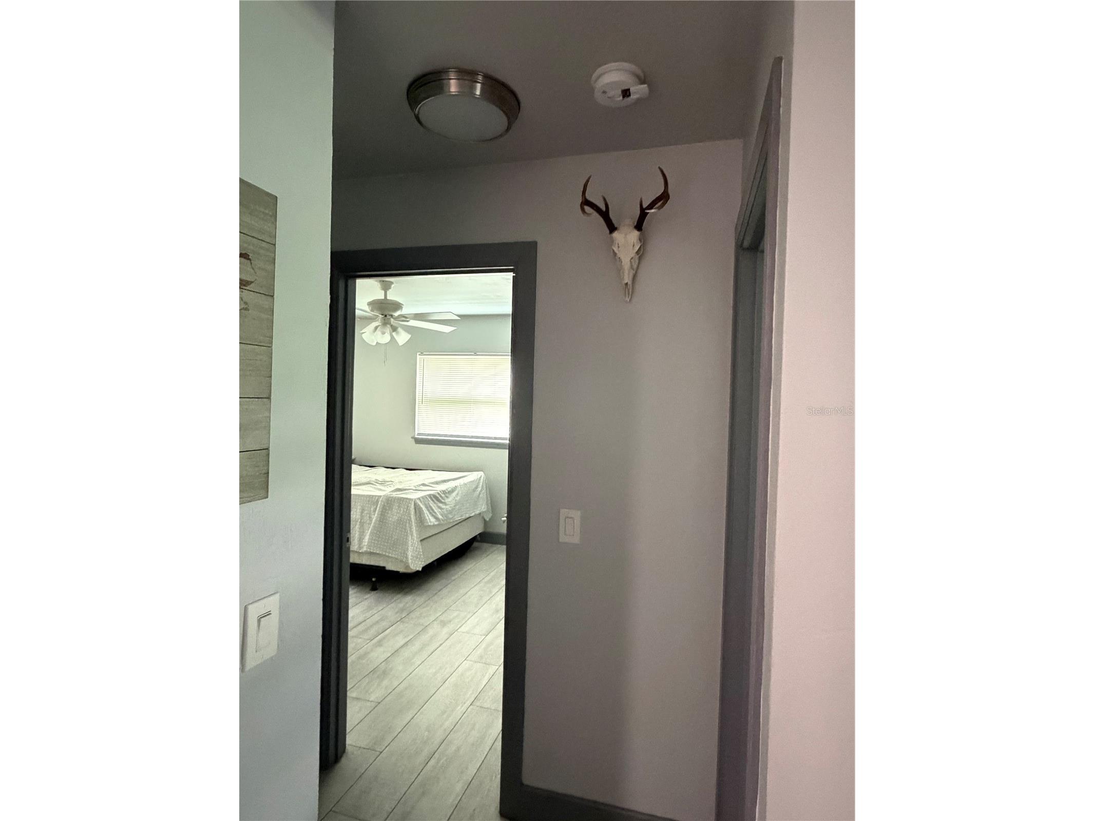 2436 Claire Avenue New Smyrna Beach FL 32168 NS1088693 image12
