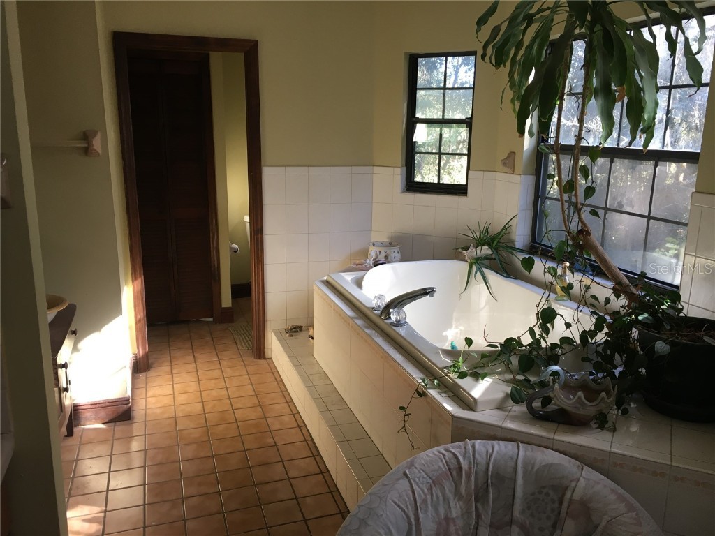 2436 Cr 416n Lake Panasoffkee FL 33538 G5100415 image17